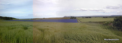 Barley Flax and Bin Hill of Cullen
