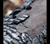 Charred Bark from a Controlled Burn