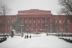 der Schneeschauer in Kiew am 23. März 2013