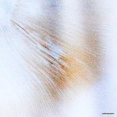 Abstract 5205062008 o