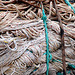 Nets in Scheveningen harbour