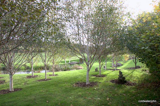 Autumn round the pond garden series