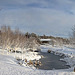 Sun and snow - garden walk Dec 10 2011