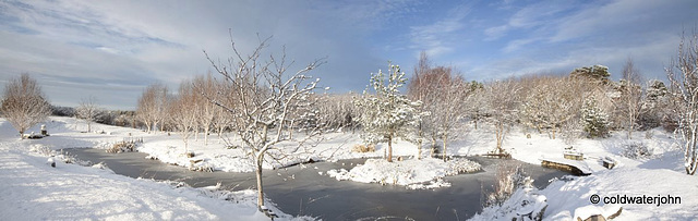 Sun and snow - garden walk Dec 10 2011