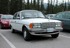 The Mercedes-Benz W123 in Canada: a 300D at Lake Louise