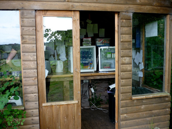 Haytongate Hut