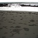 crab patterns in the sand