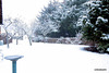 This morning's snowstorm...and you want to drive where?
