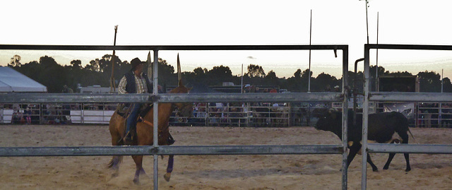 Stony Creek Rodeo 2013