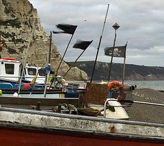 windy on the coast