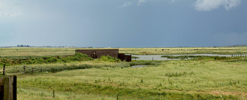 Elmley Marsh Hide