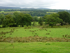 View near Haytongate