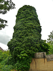 craven tower, stamford hill, hackney, london
