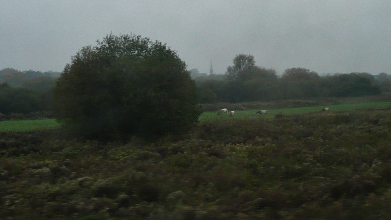 walthamstow marshes, london