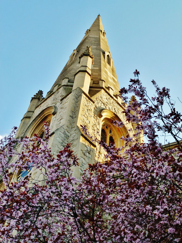 st.paul's church, onslow sq., kensington , london