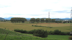 Blick auf die St.-Ruprechter-Straße