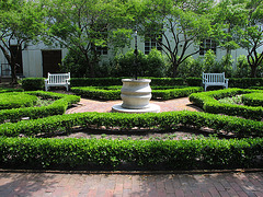 Gertrude Carraway Garden