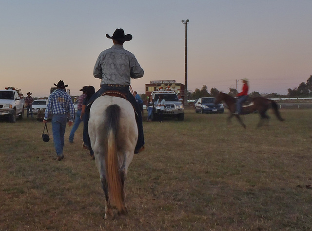 Stony Creek Rodeo 2013