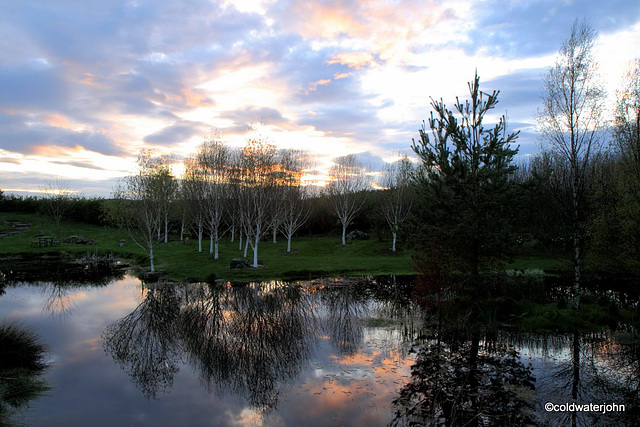 April Evening Skies