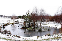 First Winter snows 2010