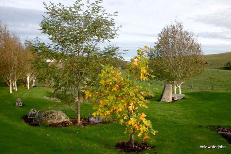 Autumn round the pond garden series