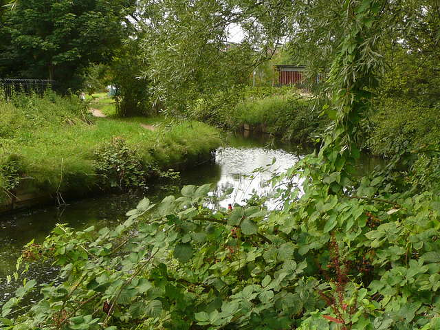 new river, stoke newington, london