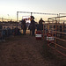 Stony Creek Rodeo 2013