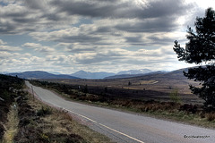 Dava Moor part of the Cairngorms National Park 3595109224 o