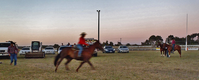 Stony Creek Rodeo 2013