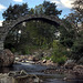 The Old Bridge at Carrbridge - the oldest stone bridge in the Highlands