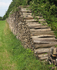 Klausen-Leopoldsdorf, Brennholz