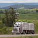 Shot this on my way to Williams Lake, BC