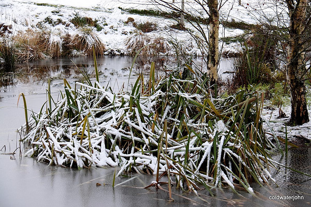 First Winter snows 2010