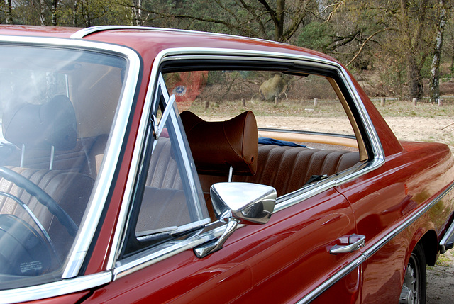 Mercedes meet-and-drive: W114-250C