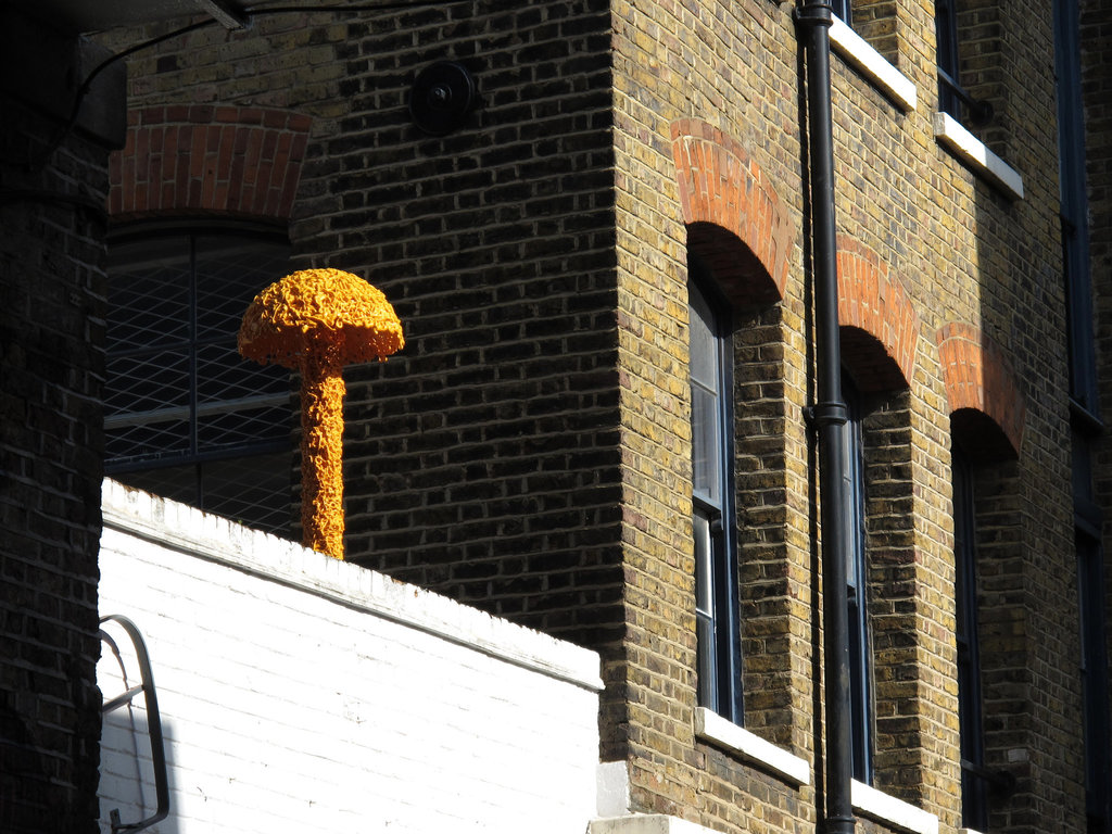 Orange Mushroom