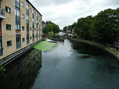 regent's canal from the cat and mutton bridge, hackney