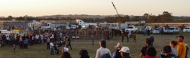 Stony Creek Rodeo 2013