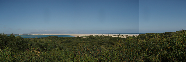 Waratah Bay from the dunes