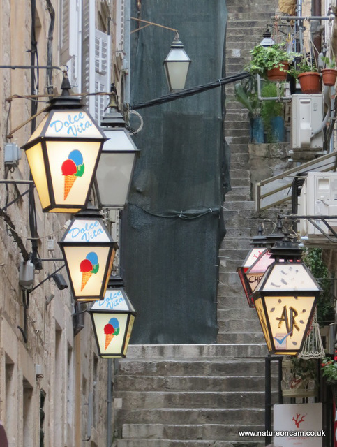 Dubrovnik Old Town lights