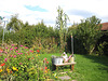 Frühherbst im Garten