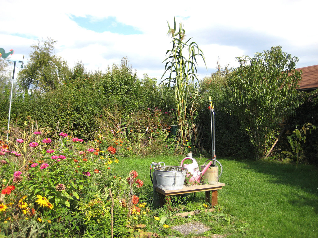 Frühherbst im Garten