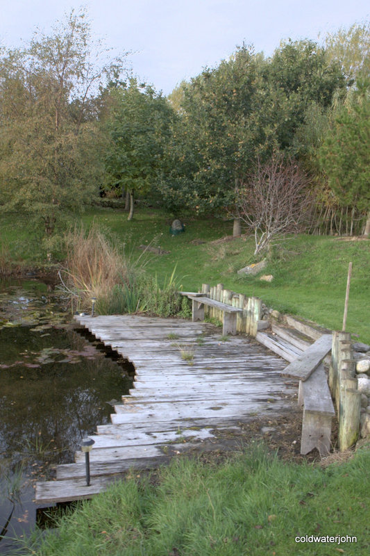 Autumn round the pond garden series