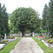 Klausen-Leopoldsdorf, Friedhof