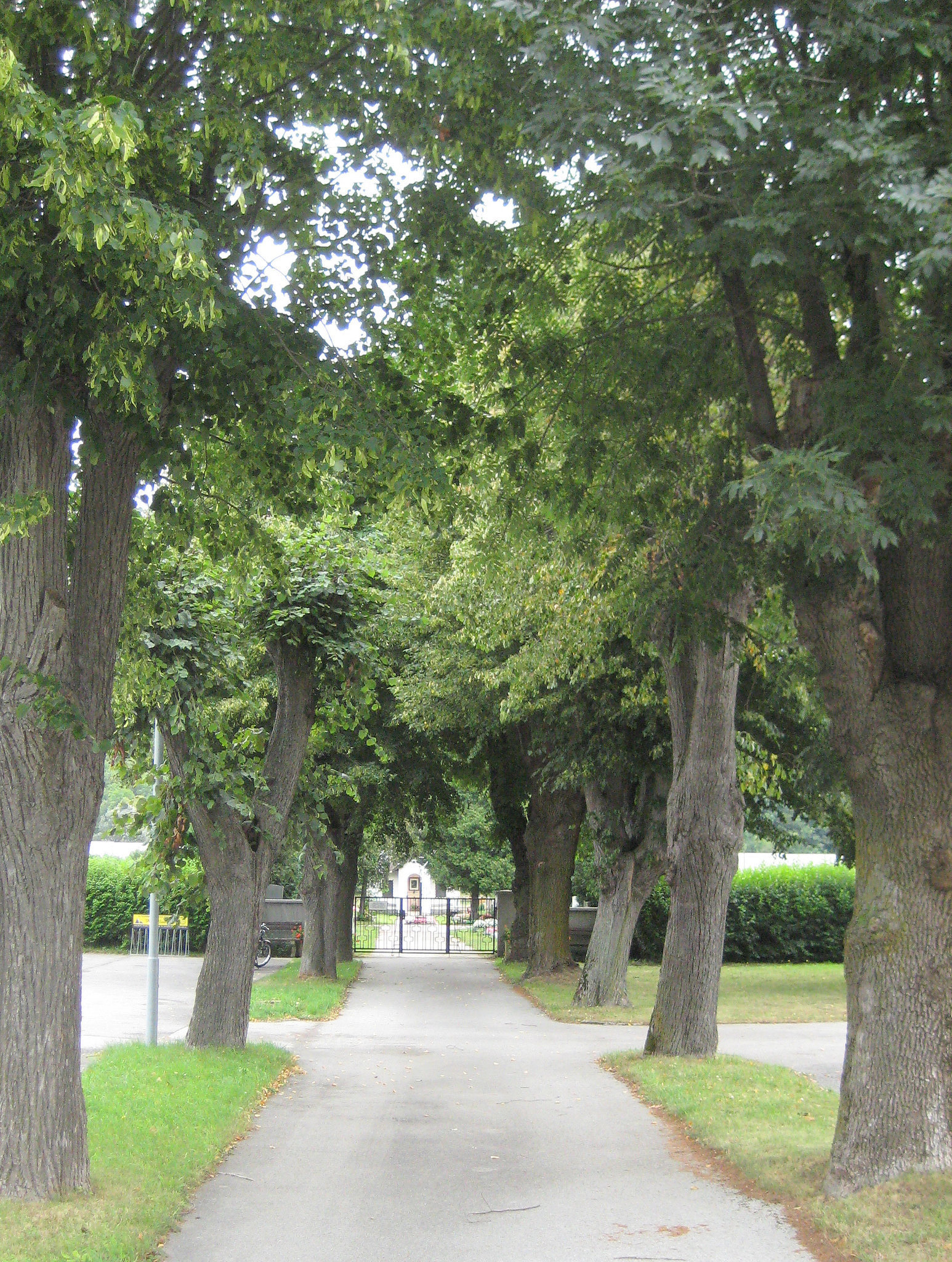 Klausen-Leopoldsdorf, Friedhof