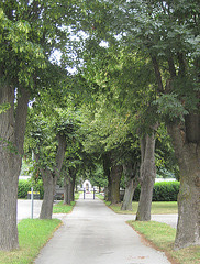 Klausen-Leopoldsdorf, Friedhof