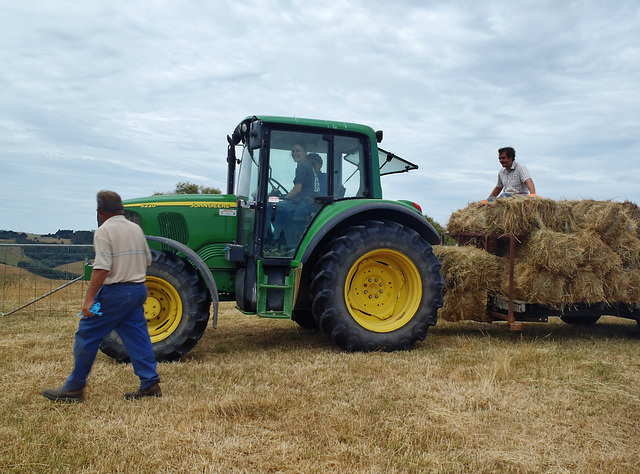bringing in the hay