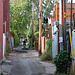 Montreal images: alley