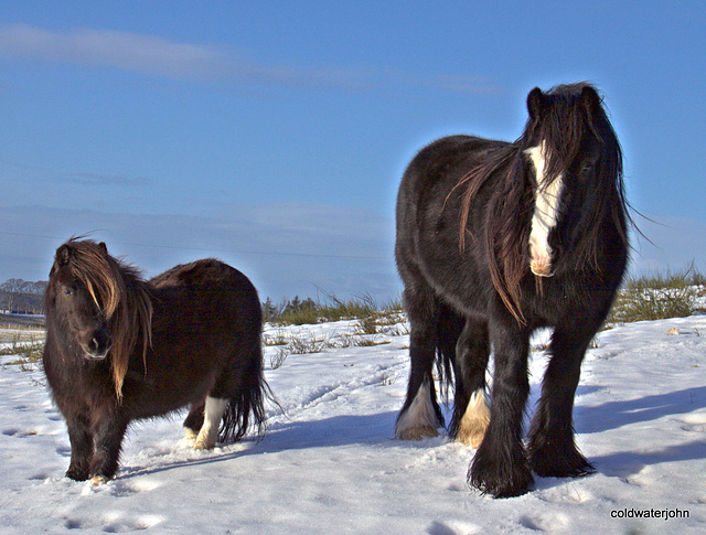 Little and Large