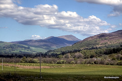 View south from near the House of Bruar at Blair Atholl