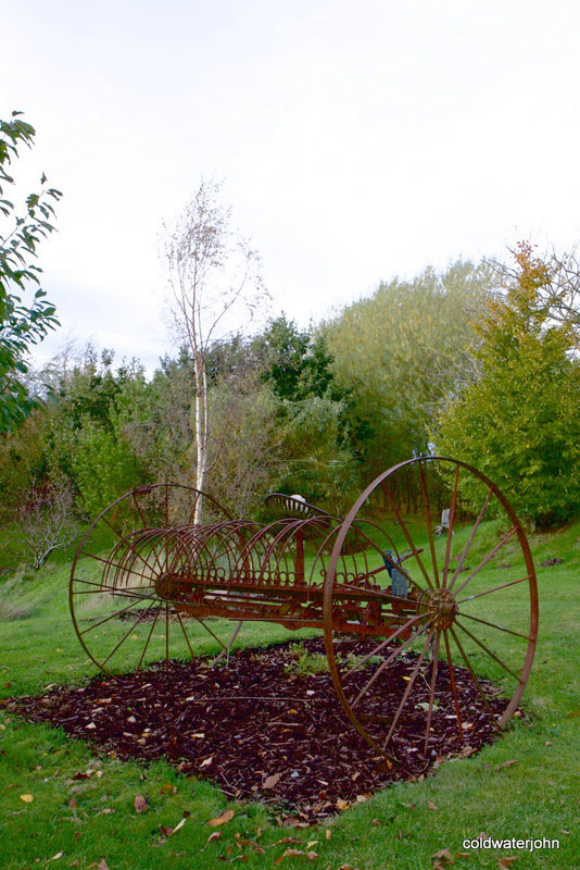 Autumn round the pond garden series